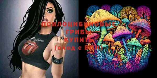 МДПВ Алзамай